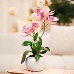 Orquídea Decorativa con Pote