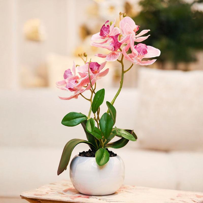 Orquídea Decorativa con Pote