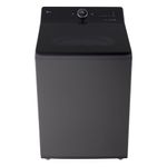 Lavadora Automática de Carga Superior LG de 28 kg Color Grafito