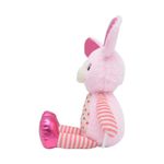 Peluche Conejo San Valentín