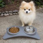 Plato Doble para Mascota Color Gris