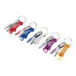 Pecera con Llavero Desarmador Multicolor de 30 Piezas