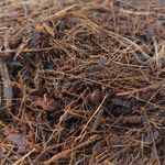 Fibra de Coco Mixta para Sustrato y Cultivo de 4 Lb