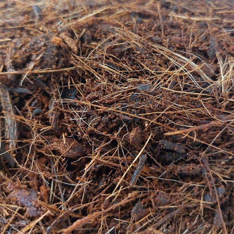 Fibra de Coco Mixta para Sustrato y Cultivo de 4 Lb