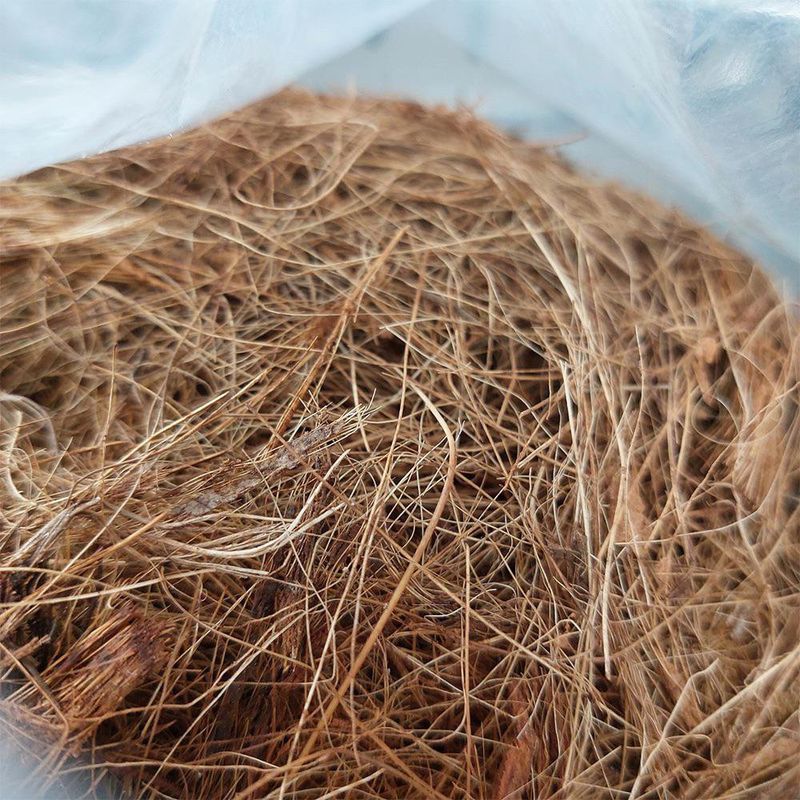 Fibra de Coco para Jardinería y Sustratos de 4 Lb