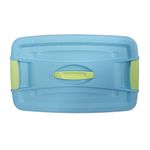 Caja Plástica de 16 L Celeste con Verde