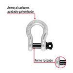 Grillete de Acero Forjado 5/8 plg
