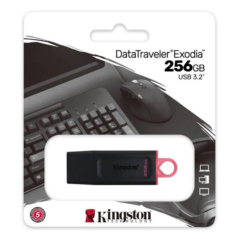 Memoria USB Kingston DataTraveler Exodia de 256 GB USB 3.2