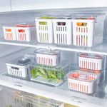 Organizador para Refrigerador Fresh con 2 Canastas de 20 x 15 Cm
