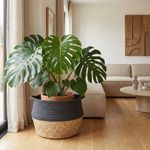 Canasta Decorativa Cinnamon de 27 x 23 cm