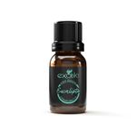 Aceite Esencial de Eucalipto Exotik 11 ml