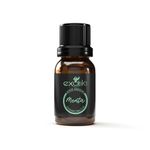 Aceite Esencial de Menta Exotik 11 ml