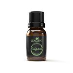 Aceite Esencial de Orégano Exotik 11 ml