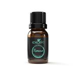 Aceite Esencial de Romero Exotik 11 ml