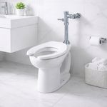 Sanitario con Fluxómetro Manual Abierto Cadet 17 Plg