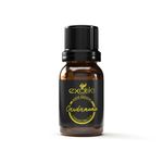 Aceite Esencial de Cardamomo Exotik 11 ml