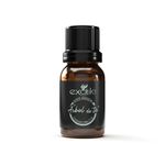 Aceite Esencial de Árbol de Té Exotik 11 ml