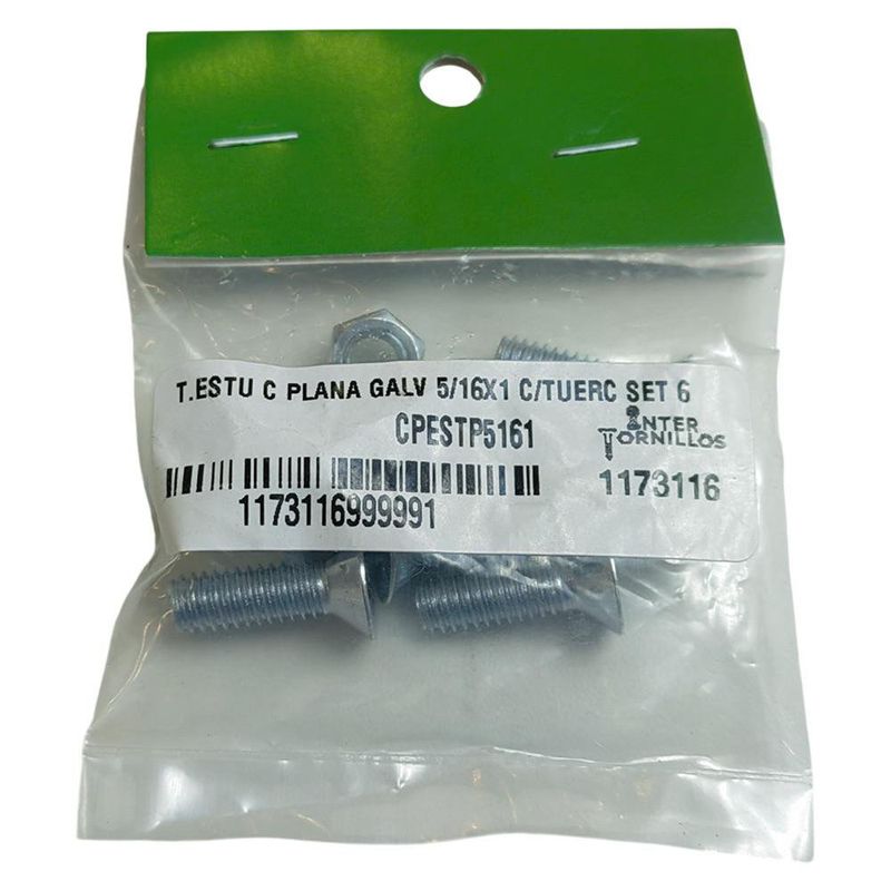 Set de 6 Tornillos para Estufa Cabeza Plana Galvanizado 5/16 x 1 con Tuerca