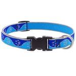 Collar Ajustable para Perro de 14 plg con Diseño Huellas Azules