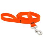 Correa Biothane para Perro de 1 plg x 1.8 M Color Naranja