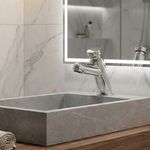 Grifo para Lavamanos con Cuello Bajo Push Temporizado Color Plateado