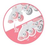 Patines Evolutivos 2 en 1 Talla Ajustable 30-33 Rosa Pastel