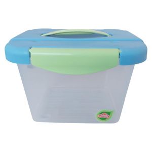 Caja Click 4 L Celeste-Verde con Asa