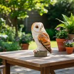 Figura Decorativa de Lechuza para Jardín