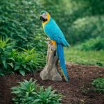 Figura Decorativa de Loro para Jardín