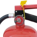 Extintor Grande de 10 lb