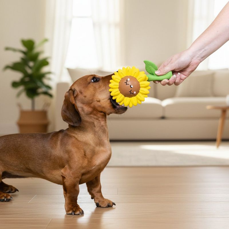 Juguete de Látex en Forma de Girasol para Perro