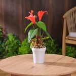 Planta Artificial de Cartuchos Rojos con Maceta Decorativa