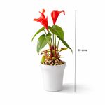 Planta Artificial de Cartuchos Rojos con Maceta Decorativa