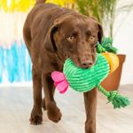 Juguete para Perro Diseño Cactus