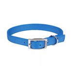 Collar Estándar Color Celeste de 1 Plg