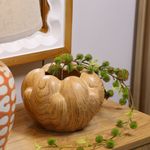 Florero Decorativo Semilla Café 19.5 x 19.5 x 13 cm