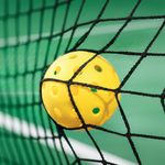 Red Portátil para Pickleball con Funda