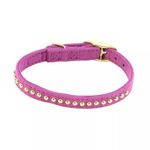 Collar Li’l Pals Mini Fucsia con Apliques Dorados