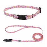 Collar Li’l Pals Rosa con Flores Multicolor de 5/16 Plg