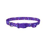Collar Pet Attire Morado Con Huellas Multicolor de 3/8 Plg