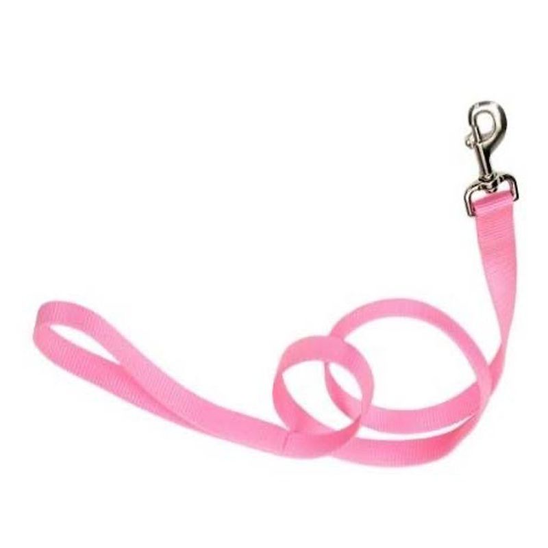 Correa para Perro Estándar Color Rosado de 1 Plg