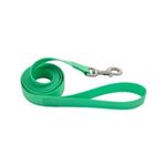 Correa para Perro Pro Waterproof Color Lima de 1 Plg