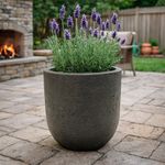 Maceta Cilíndrica Katerini de 46 x 43 Cm