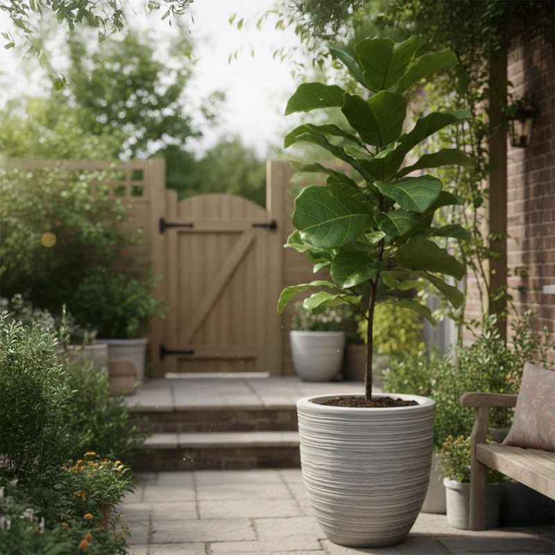 Maceta Decorativa Jericó Color Gris 43 x 43 x 35 cm