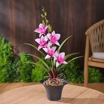 Planta Artificial de Orquídea Morada con Maceta Negra