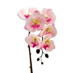 Orquídea Rosa Decorativa en Maceta Texturada