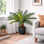 Planta Decorativa con Maceta 60 cm