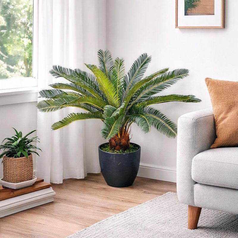 Planta Decorativa con Maceta 60 cm