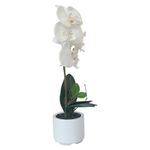 Orquídea Artificial Blanca con Maceta 28 x 38 cm
