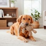Juguete para Perro Diseño Conejo